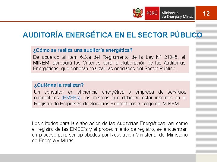12 AUDITORÍA ENERGÉTICA EN EL SECTOR PÚBLICO ¿Cómo se realiza una auditoría energética? De