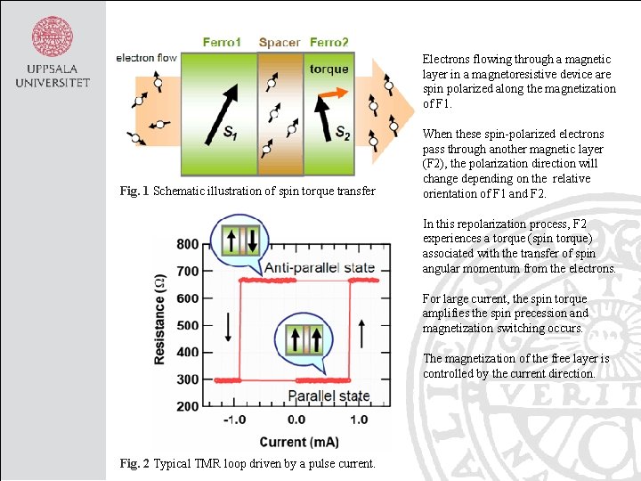 Electrons flowing through a magnetic layer in a magnetoresistive device are spin polarized along