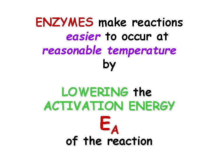 ENZYMES make reactions easier to occur at reasonable temperature by LOWERING the ACTIVATION ENERGY