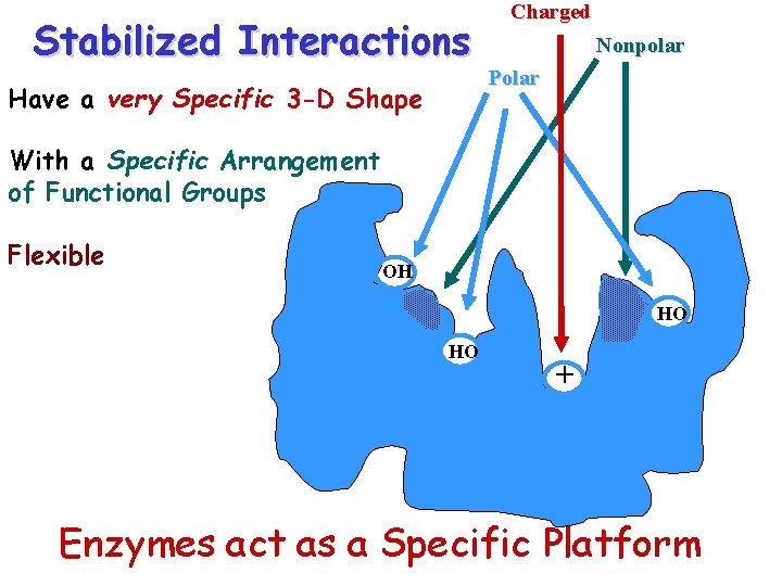 Stabilized Interactions Have a very Specific 3 -D Shape Charged Nonpolar Polar With a