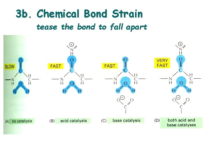 3 b. Chemical Bond Strain tease the bond to fall apart 