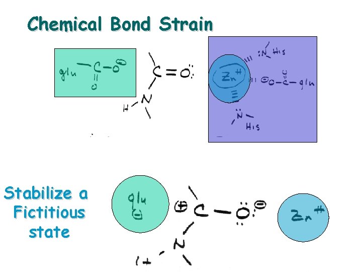 Chemical Bond Strain Stabilize a Fictitious state 