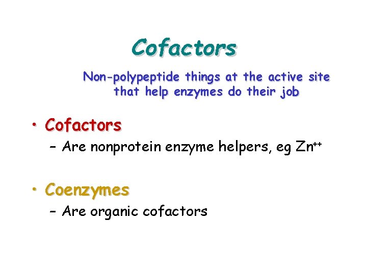 Cofactors Non-polypeptide things at the active site that help enzymes do their job •