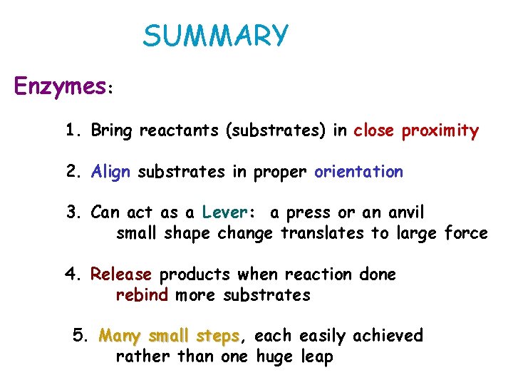 SUMMARY Enzymes: 1. Bring reactants (substrates) in close proximity 2. Align substrates in proper