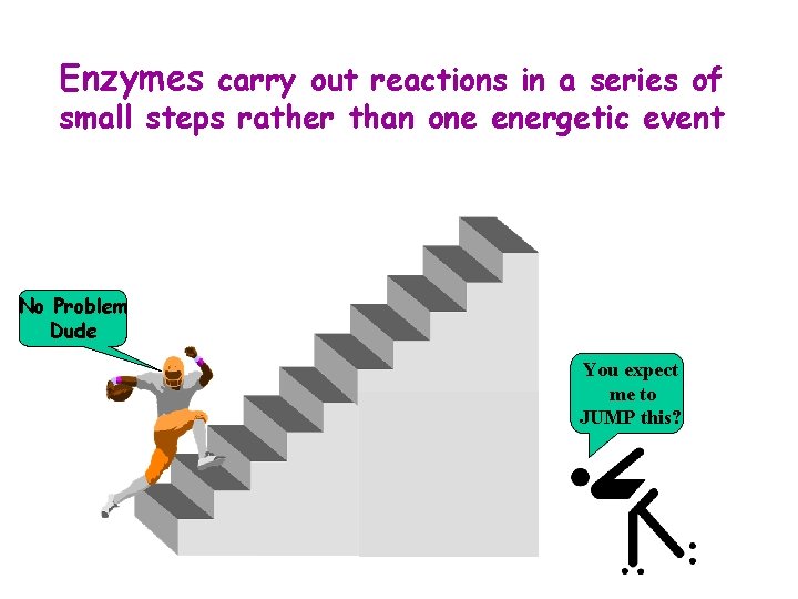 Enzymes carry out reactions in a series of small steps rather than one energetic