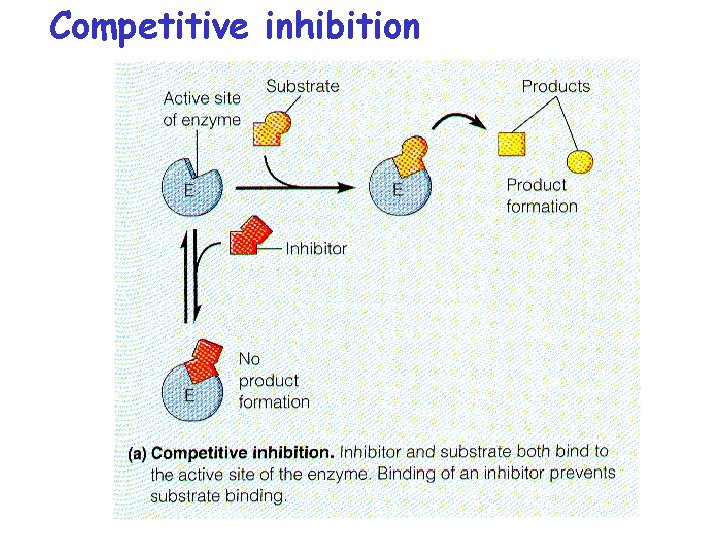 Competitive inhibition 