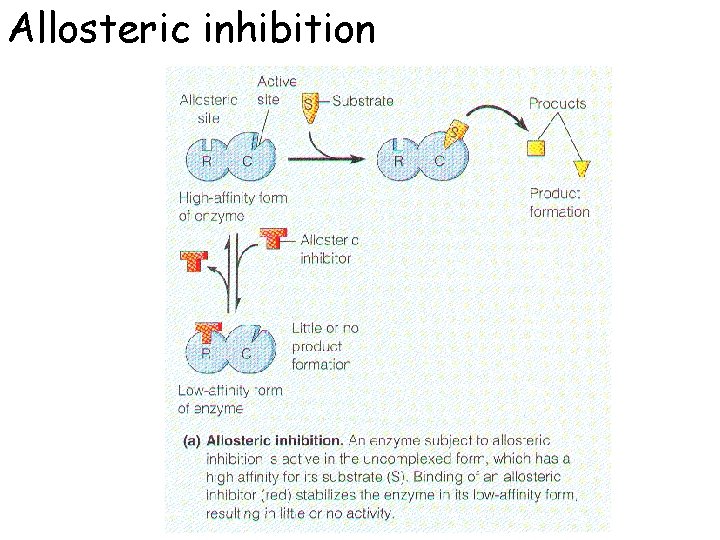Allosteric inhibition 
