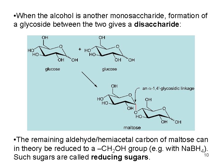  • When the alcohol is another monosaccharide, formation of a glycoside between the