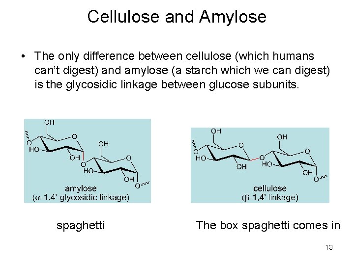 Cellulose and Amylose • The only difference between cellulose (which humans can’t digest) and