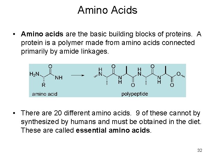 Amino Acids • Amino acids are the basic building blocks of proteins. A protein