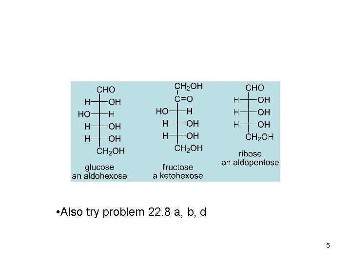  • Also try problem 22. 8 a, b, d 5 
