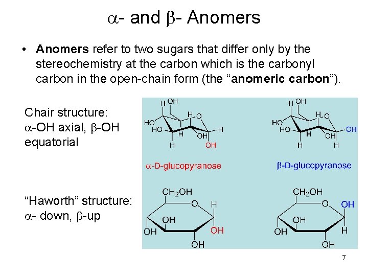 a- and b- Anomers • Anomers refer to two sugars that differ only by