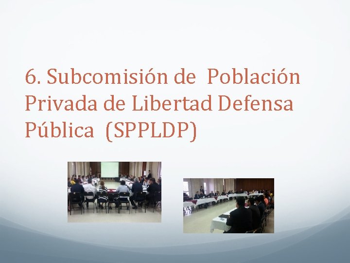 6. Subcomisión de Población Privada de Libertad Defensa Pública (SPPLDP) 