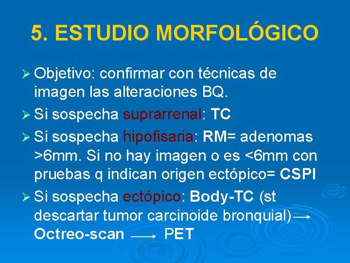 5. ESTUDIO MORFOLÓGICO Ø Objetivo: confirmar con técnicas de imagen las alteraciones BQ. Ø