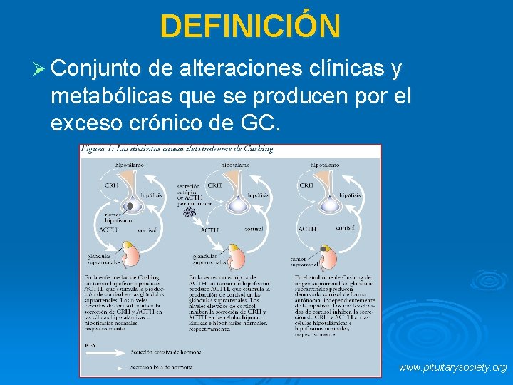 DEFINICIÓN Ø Conjunto de alteraciones clínicas y metabólicas que se producen por el exceso