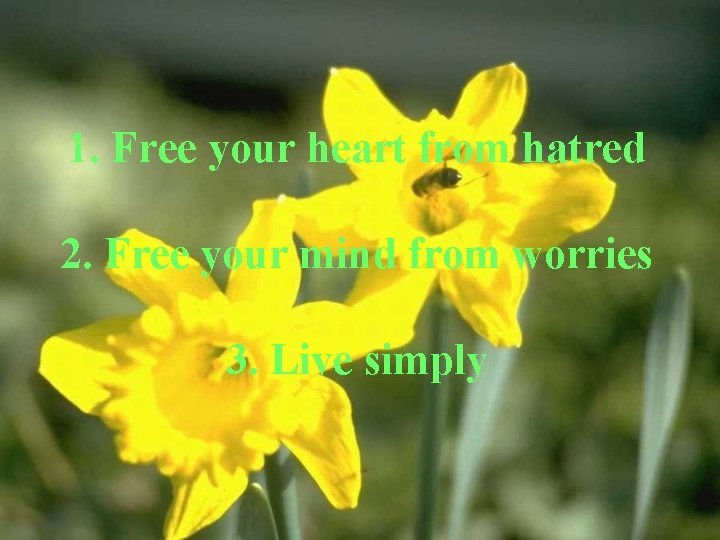 1. Free your heart from hatred 2. Free your mind from worries 3. Live