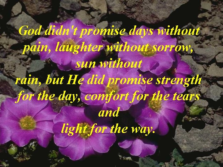 God didn't promise days without pain, laughter without sorrow, sun without rain, but He
