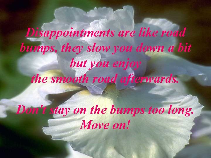 Disappointments are like road bumps, they slow you down a bit but you enjoy