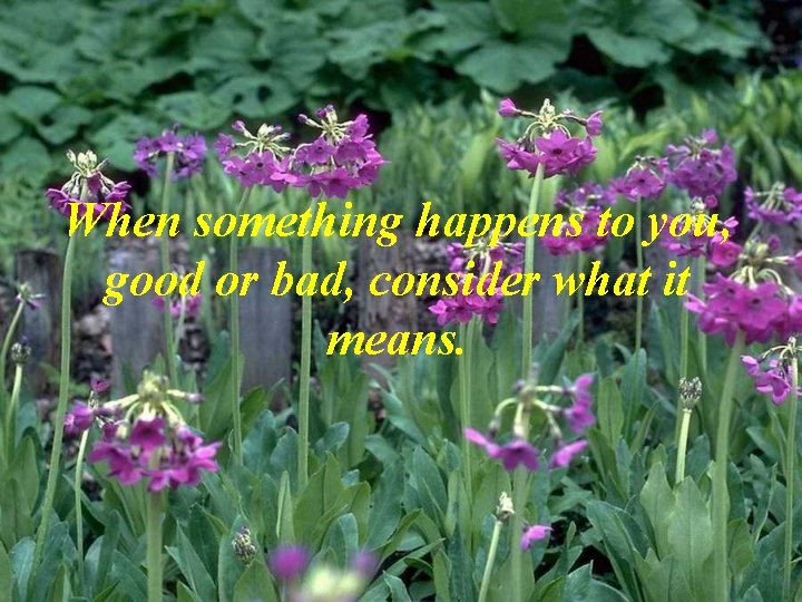 When something happens to you, good or bad, consider what it means. 