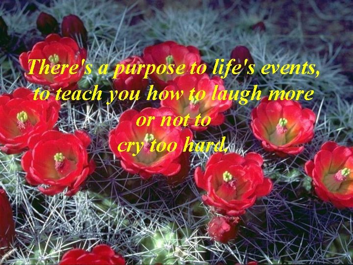 There's a purpose to life's events, to teach you how to laugh more or