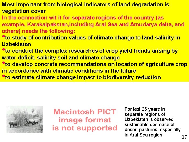 Most important from biological indicators of land degradation is vegetation cover In the connection
