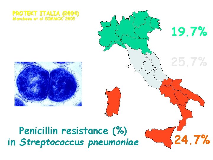 PROTEKT ITALIA (2004) Marchese et al GIMMOC 2005 19. 7% 25. 7% Penicillin resistance