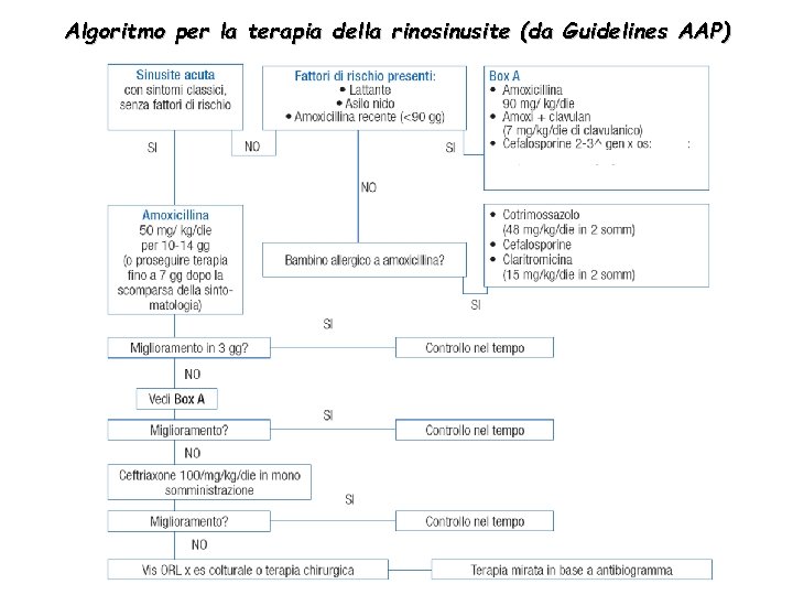 Algoritmo per la terapia della rinosinusite (da Guidelines AAP) 