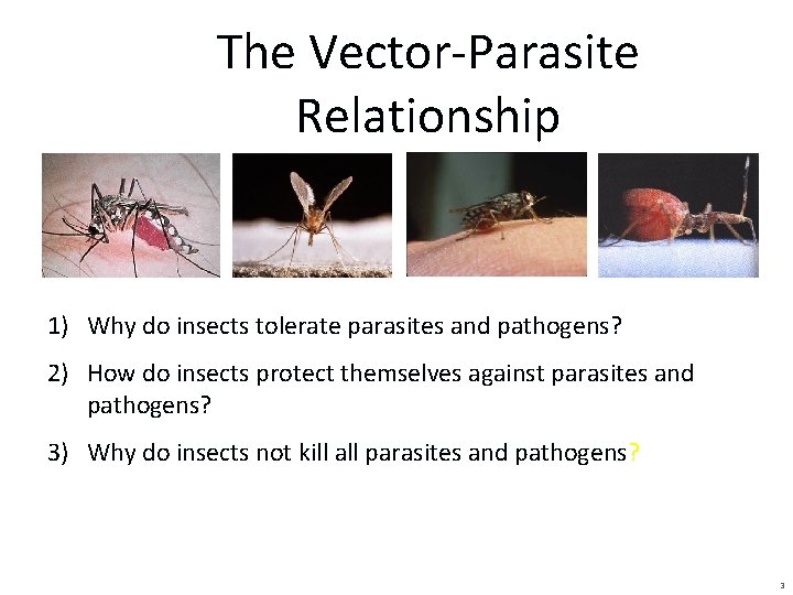 The Vector-Parasite Relationship 1) Why do insects tolerate parasites and pathogens? 2) How do