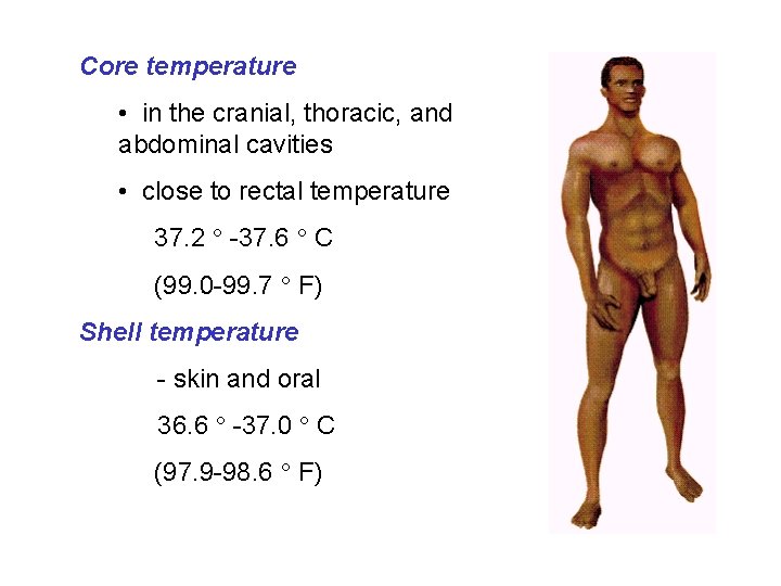 Core temperature • in the cranial, thoracic, and abdominal cavities • close to rectal