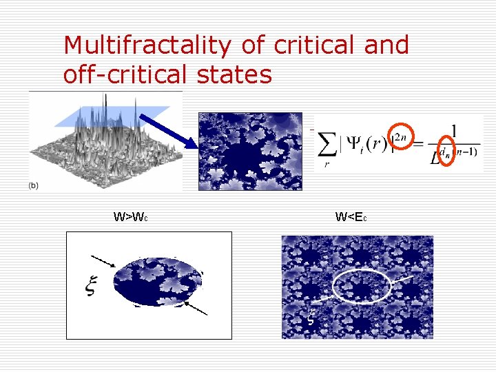 Multifractality of critical and off-critical states W>Wc W<Ec 