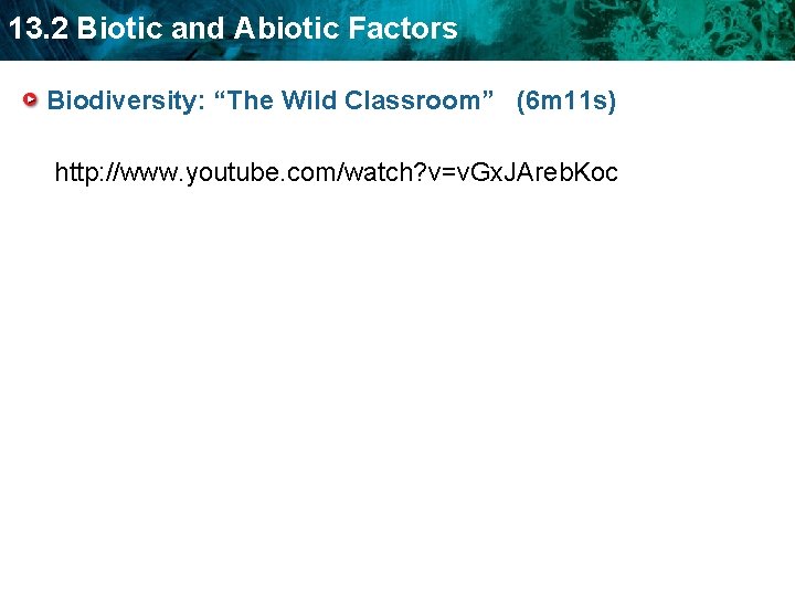 13. 2 Biotic and Abiotic Factors Biodiversity: “The Wild Classroom” (6 m 11 s)