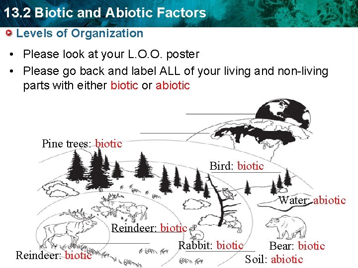 13. 2 Biotic and Abiotic Factors Levels of Organization • Please look at your