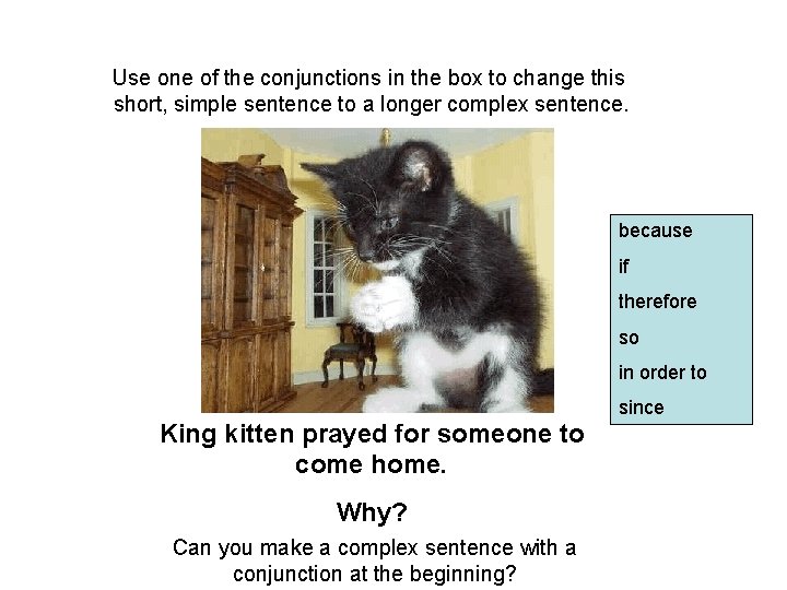 Use one of the conjunctions in the box to change this short, simple sentence