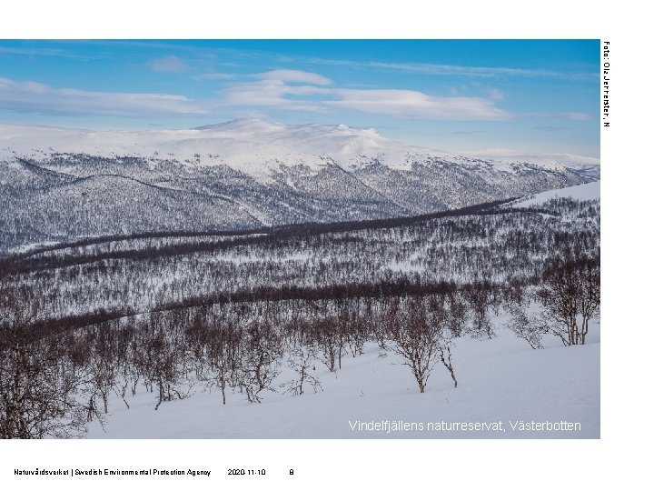 Foto: Ola Jennersten, N Exempel på naturtyper och arter Vindelfjällens naturreservat, Västerbotten Naturvårdsverket |