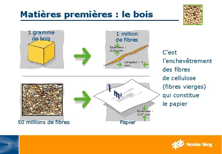 Matières premières : le bois 1 gramme de bois 1 million de fibres Epaisseur