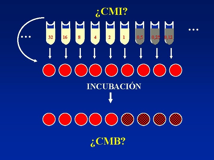 ¿CMI? 32 16 8 4 2 1 0, 5 INCUBACIÓN ¿CMB? 0, 25 0,