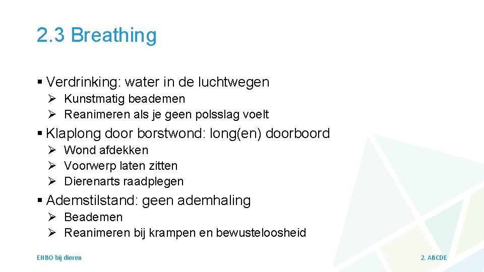 2. 3 Breathing § Verdrinking: water in de luchtwegen Ø Kunstmatig beademen Ø Reanimeren