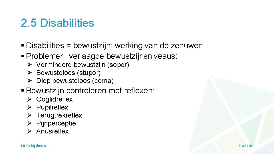 2. 5 Disabilities § Disabilities = bewustzijn: werking van de zenuwen § Problemen: verlaagde