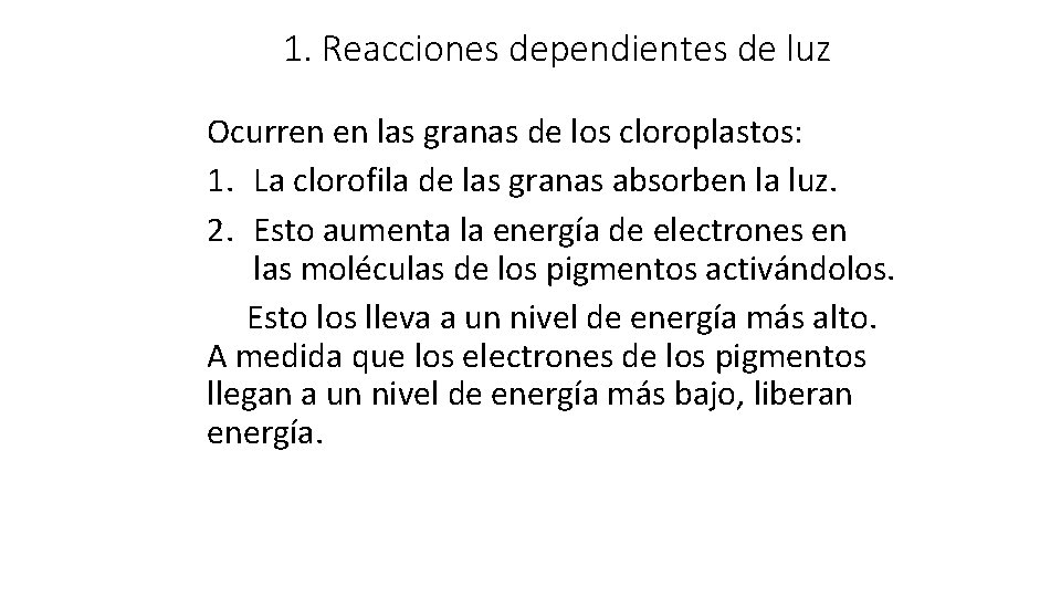 1. Reacciones dependientes de luz Ocurren en las granas de los cloroplastos: 1. La