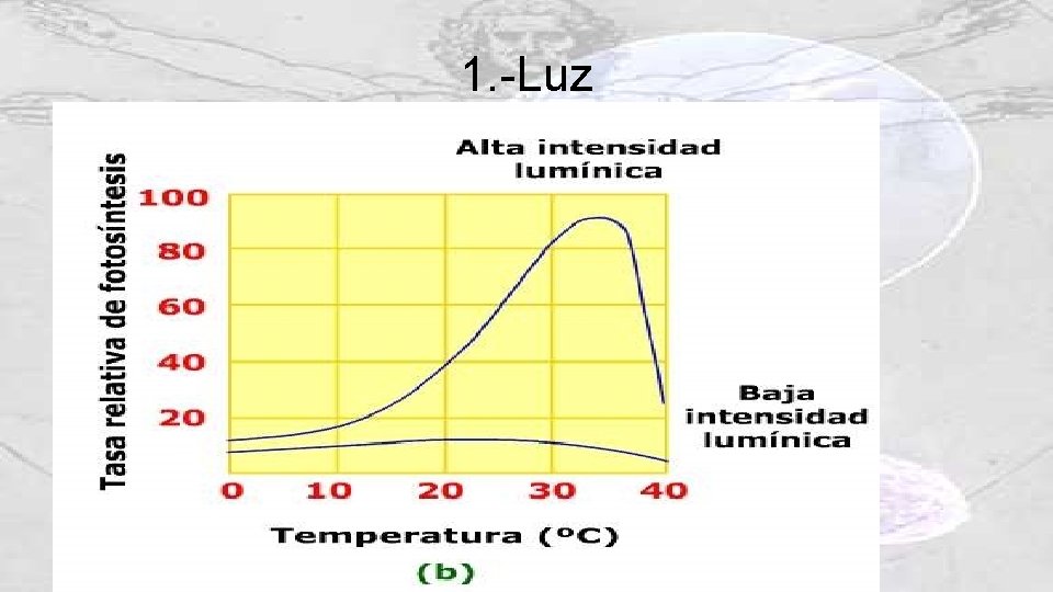 1. -Luz 
