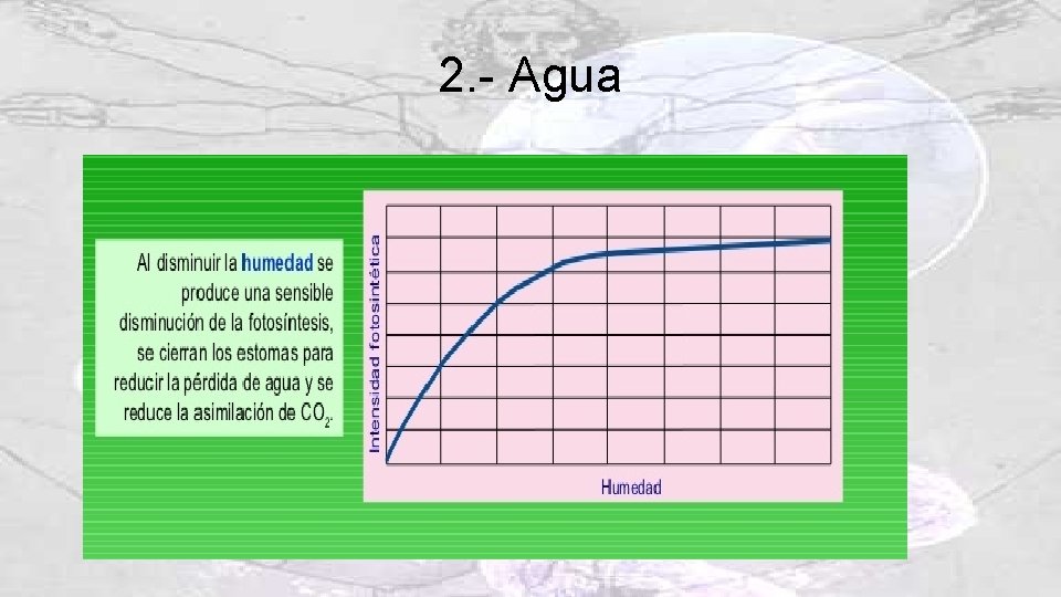 2. - Agua 