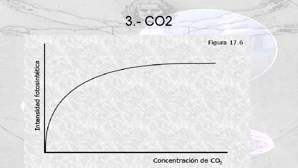 3. - CO 2 