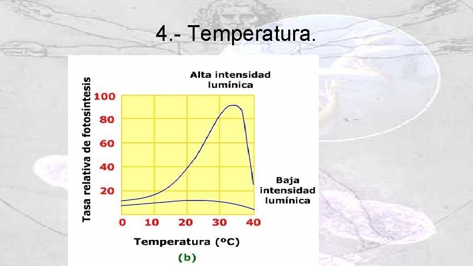 4. - Temperatura. 