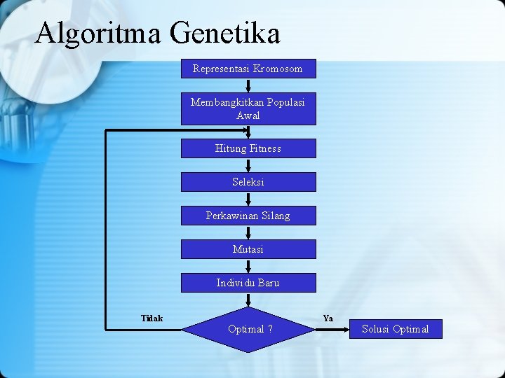 Algoritma Genetika Representasi Kromosom Membangkitkan Populasi Awal Hitung Fitness Seleksi Perkawinan Silang Mutasi Individu Algoritma Genetika Representasi Kromosom Membangkitkan Populasi Awal Hitung Fitness Seleksi Perkawinan Silang Mutasi Individu
