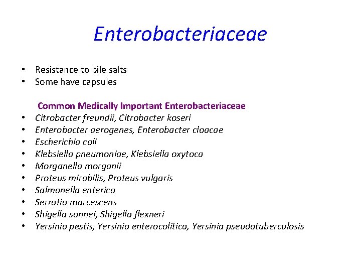 Enterobacteriaceae • Resistance to bile salts • Some have capsules Common Medically Important Enterobacteriaceae Enterobacteriaceae • Resistance to bile salts • Some have capsules Common Medically Important Enterobacteriaceae