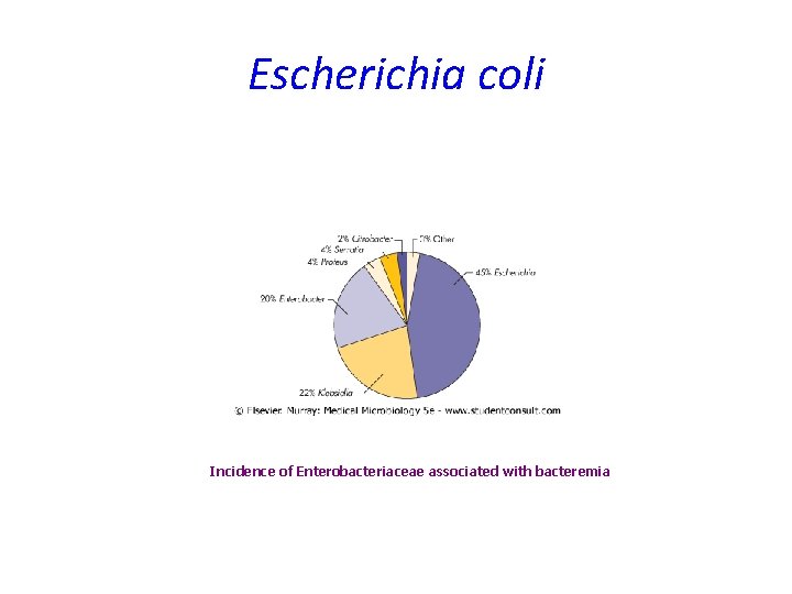 Escherichia coli Incidence of Enterobacteriaceae associated with bacteremia Escherichia coli Incidence of Enterobacteriaceae associated with bacteremia