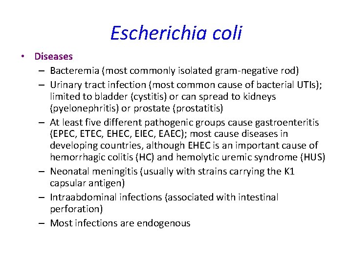 Escherichia coli • Diseases – Bacteremia (most commonly isolated gram-negative rod) – Urinary tract Escherichia coli • Diseases – Bacteremia (most commonly isolated gram-negative rod) – Urinary tract