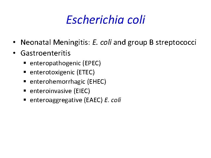 Escherichia coli • Neonatal Meningitis: E. coli and group B streptococci • Gastroenteritis § Escherichia coli • Neonatal Meningitis: E. coli and group B streptococci • Gastroenteritis §
