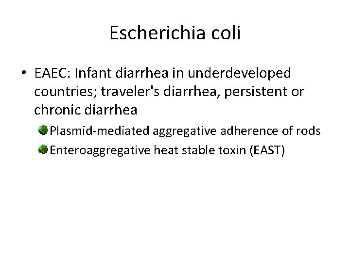 Escherichia coli • EAEC: Infant diarrhea in underdeveloped countries; traveler's diarrhea, persistent or chronic Escherichia coli • EAEC: Infant diarrhea in underdeveloped countries; traveler's diarrhea, persistent or chronic