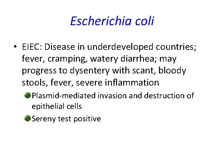 Escherichia coli • EIEC: Disease in underdeveloped countries; fever, cramping, watery diarrhea; may progress Escherichia coli • EIEC: Disease in underdeveloped countries; fever, cramping, watery diarrhea; may progress